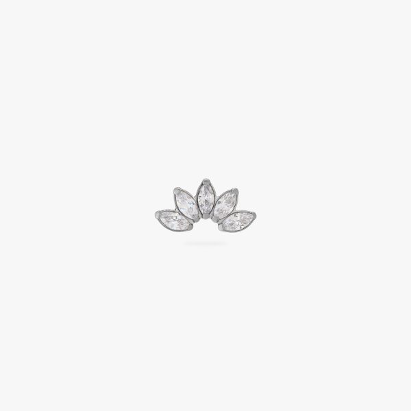 Titanium Crown